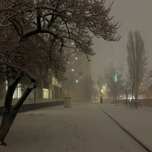 国产精品久久久久久永久免费看
